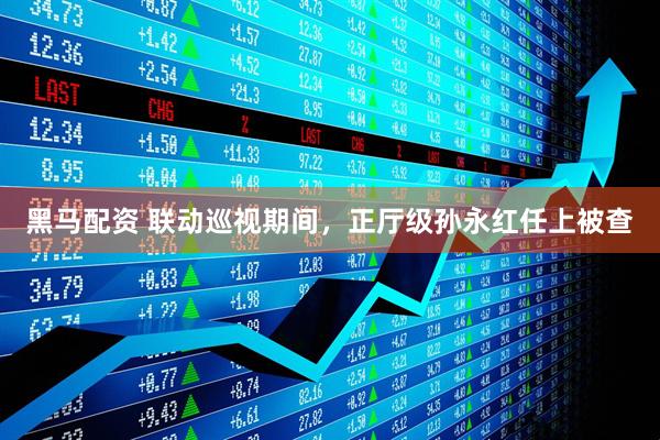 黑马配资 联动巡视期间，正厅级孙永红任上被查