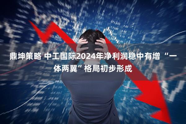 鼎坤策略 中工国际2024年净利润稳中有增 “一体两翼”格局初步形成