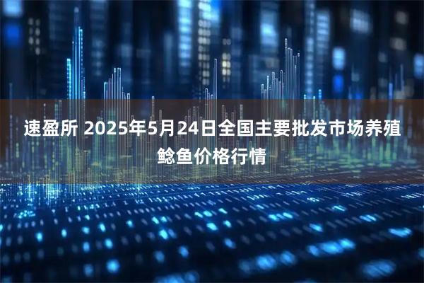 速盈所 2025年5月24日全国主要批发市场养殖鲶鱼价格行情
