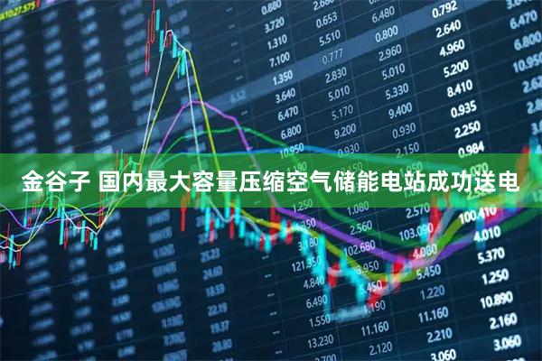 金谷子 国内最大容量压缩空气储能电站成功送电
