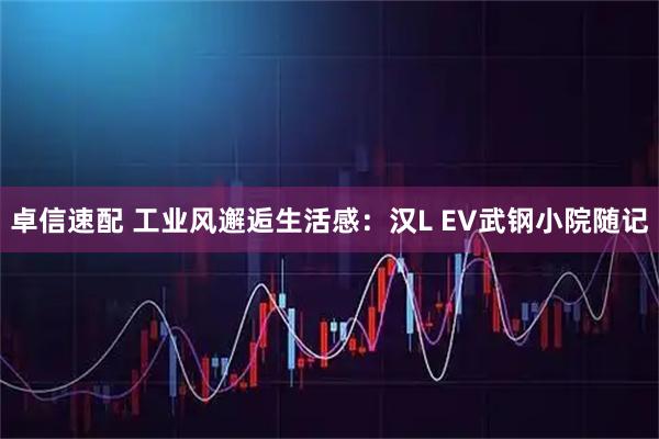 卓信速配 工业风邂逅生活感：汉L EV武钢小院随记